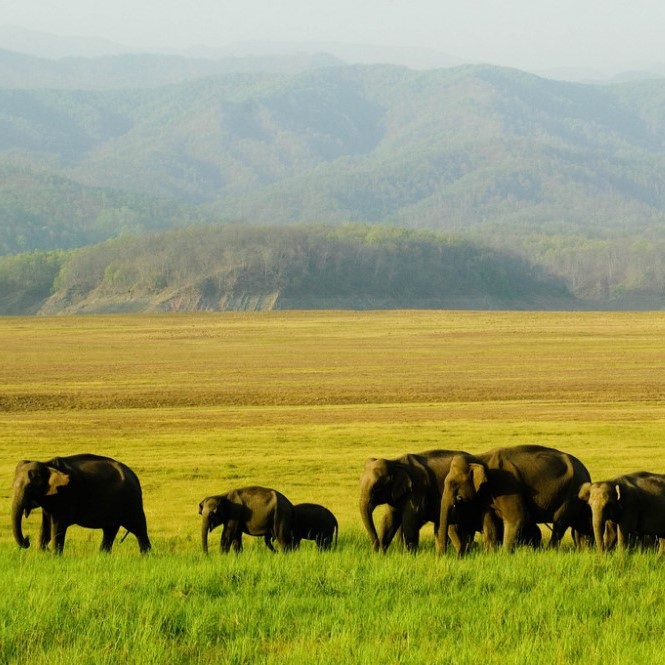 Uttaranchal-Tour-Packages-6